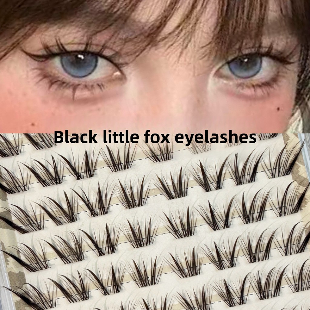 Glueless Fox Eye False Eyelash - đánh giá và giá Eyelash Extension Fox Eye