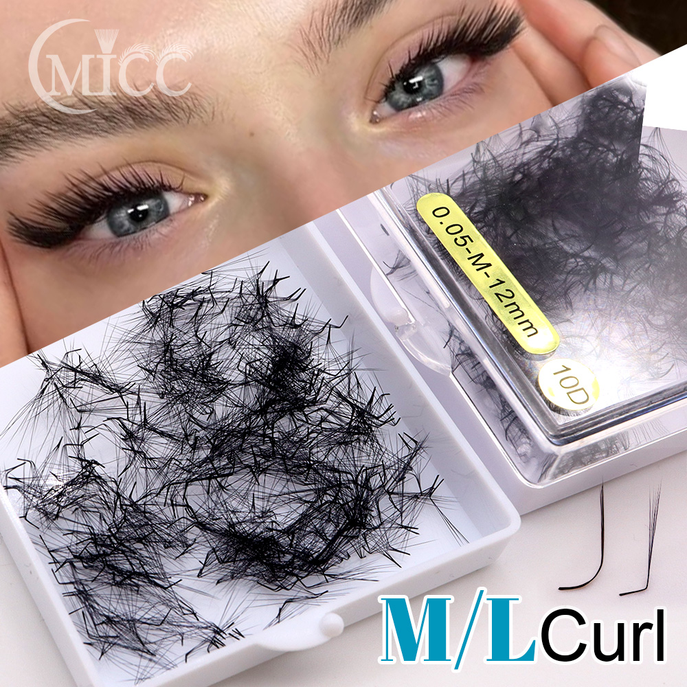 500 Fans 6D 6mm 10D M L Specia - đánh giá và giá Eyelash Extension Fox Eye