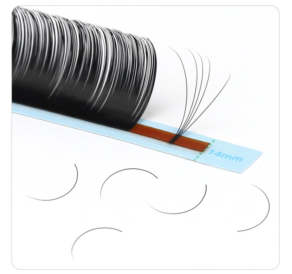 AGUUD J B C D Eyelash Extensio - đánh giá và giá Eyelash Extension Korea Natural
