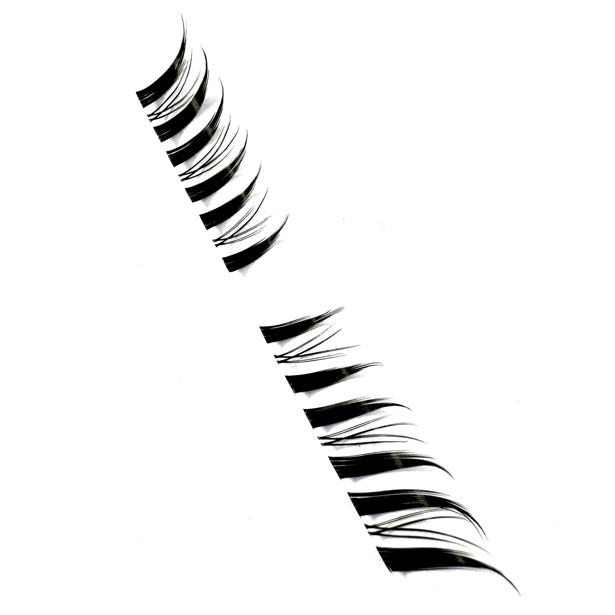 10 Rows Segmented Lashes Fox F - đánh giá và giá Eyelash Extension Fox Eye