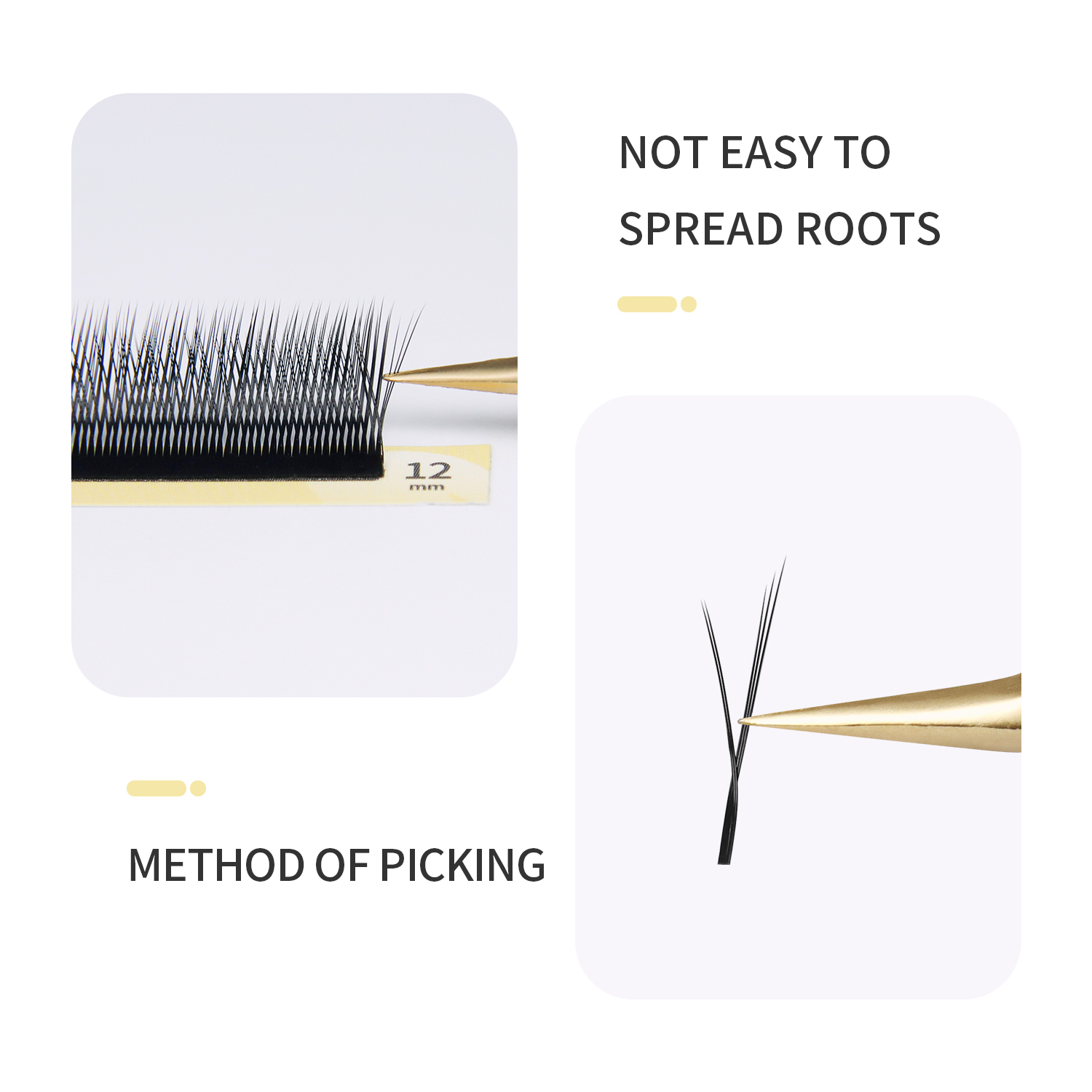GLAMLASH Flying YY 3DW 4DW 5DW - đánh giá và giá Eyelash Extension Fox Eye